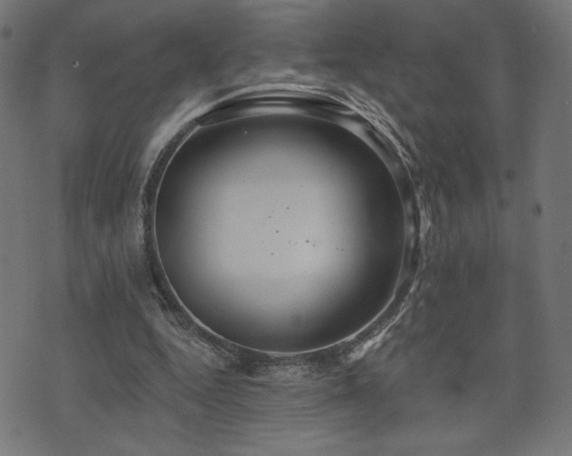 X0000072990344200607211204