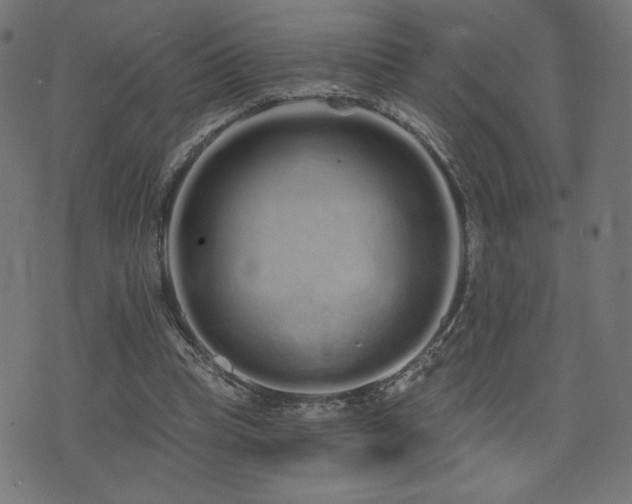 X0000072990345200607211204