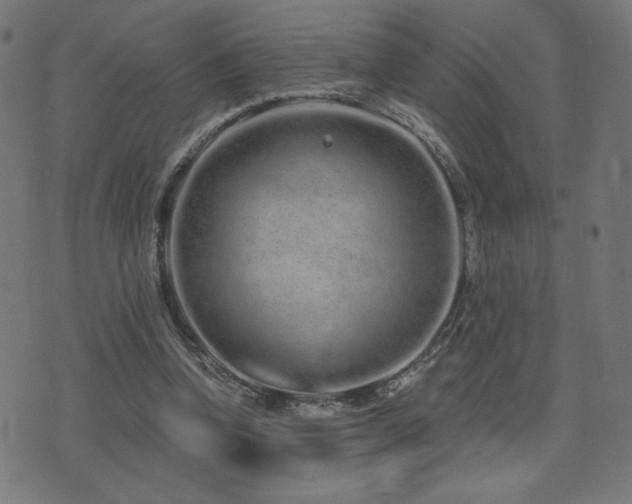 X0000072990346200607211204