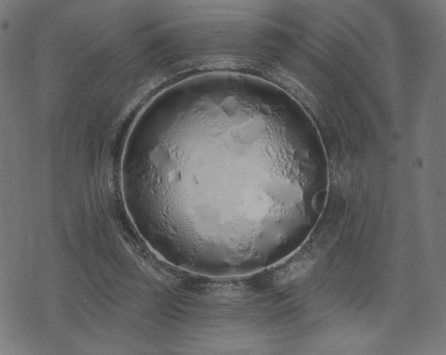 X0000072990347200607211204