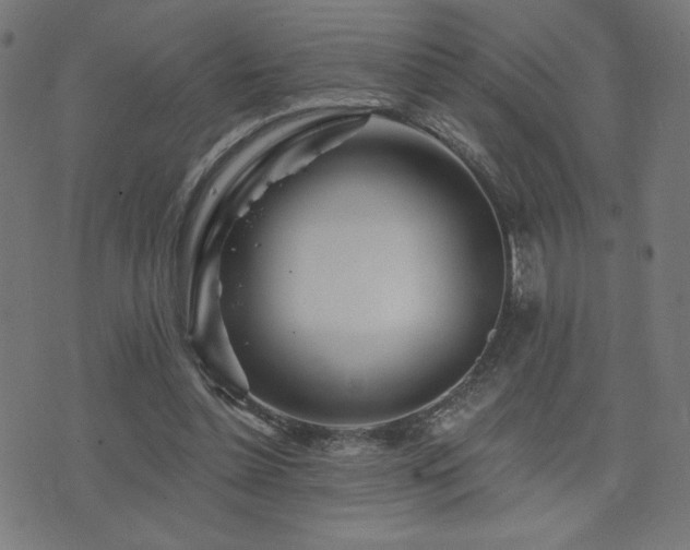 X0000072990348200607211204