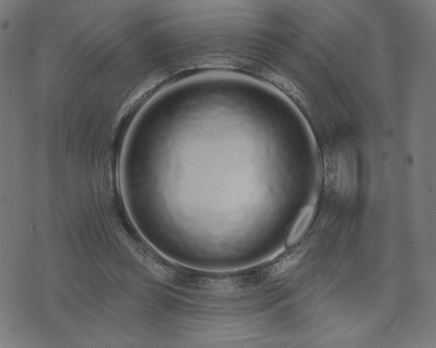 X0000072990349200607211204