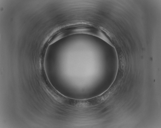 X0000072990350200607211204