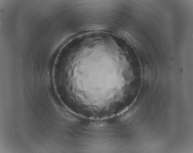 X0000072990351200607211204