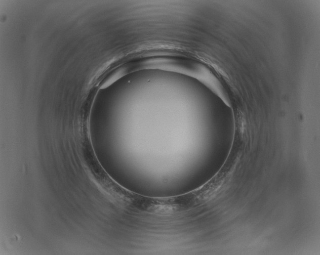 X0000072990352200607211204