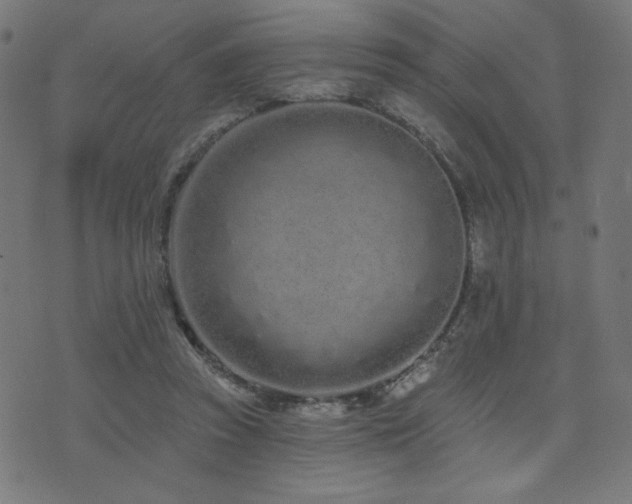 X0000072990353200607211204