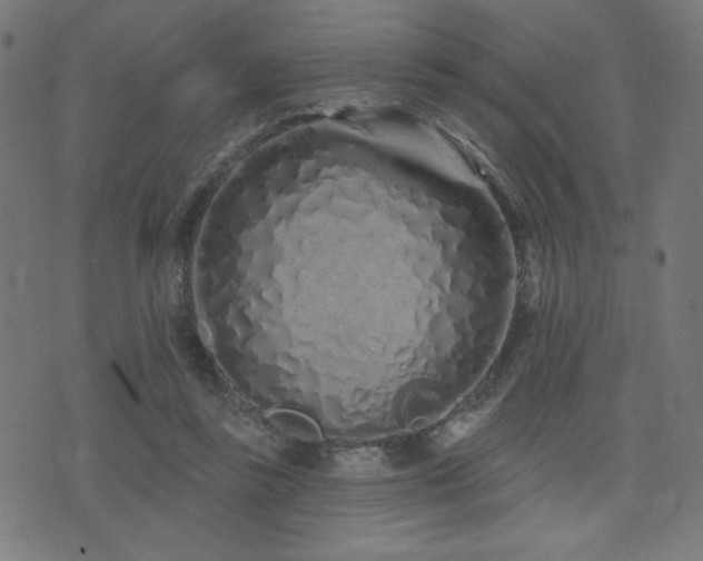 X0000072990355200607211204