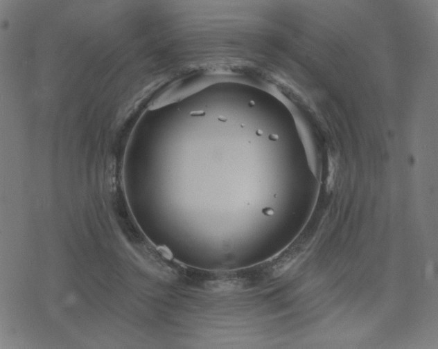 X0000072990356200607211204