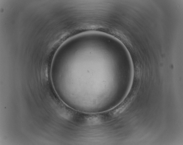 X0000072990358200607211205