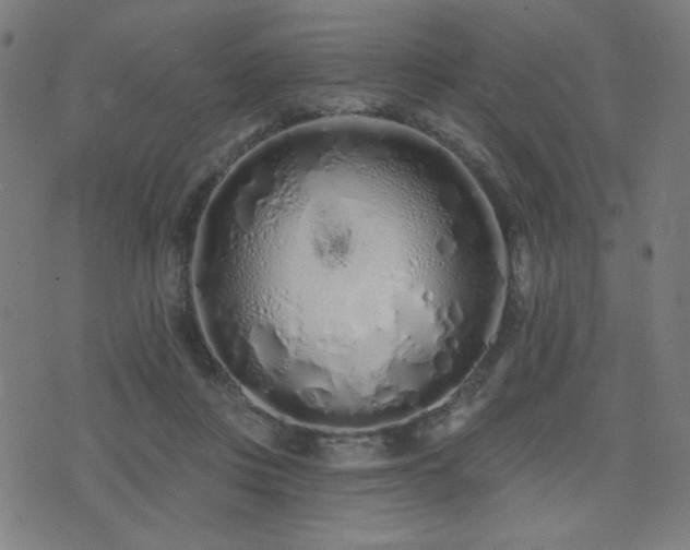 X0000072990359200607211205