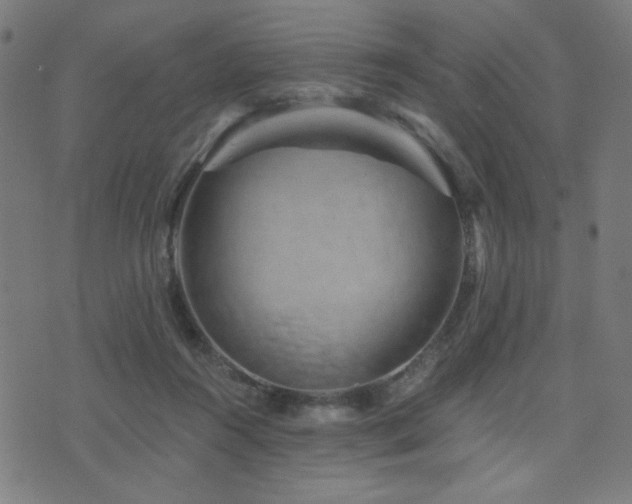 X0000072990360200607211205