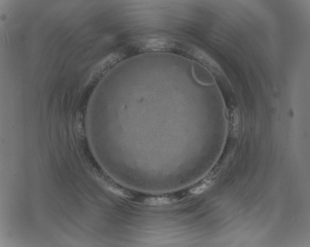 X0000072990361200607211205