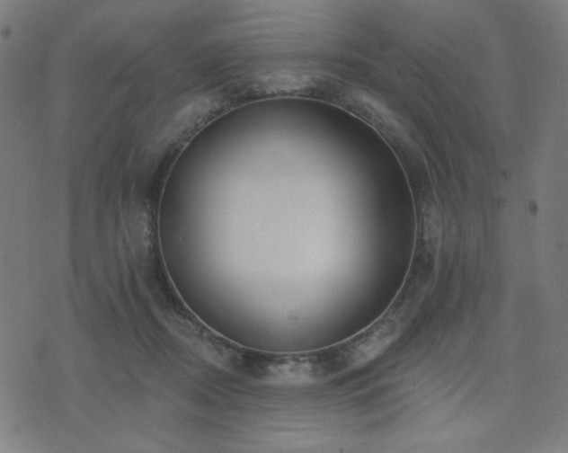 X0000072990362200607211205