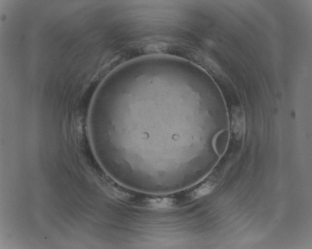 X0000072990363200607211205