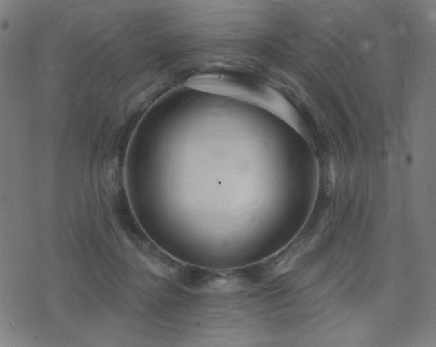 X0000072990364200607211205