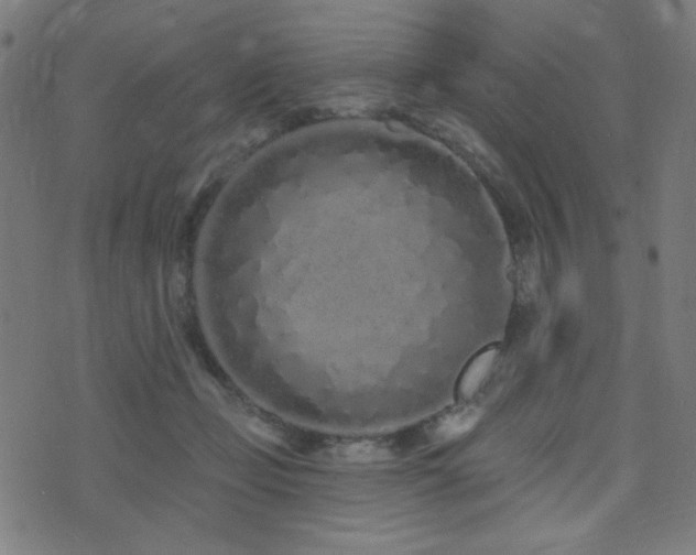 X0000072990365200607211205