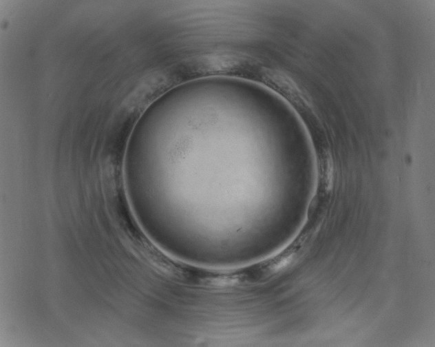 X0000072990366200607211205