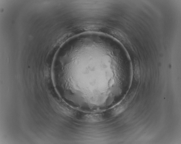 X0000072990367200607211205