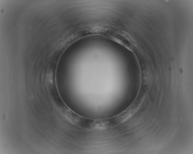 X0000072990368200607211205