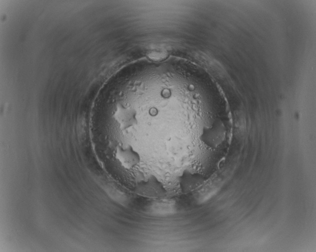 X0000072990369200607211205