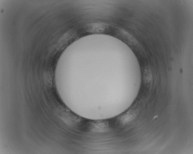 X0000072990370200607211205