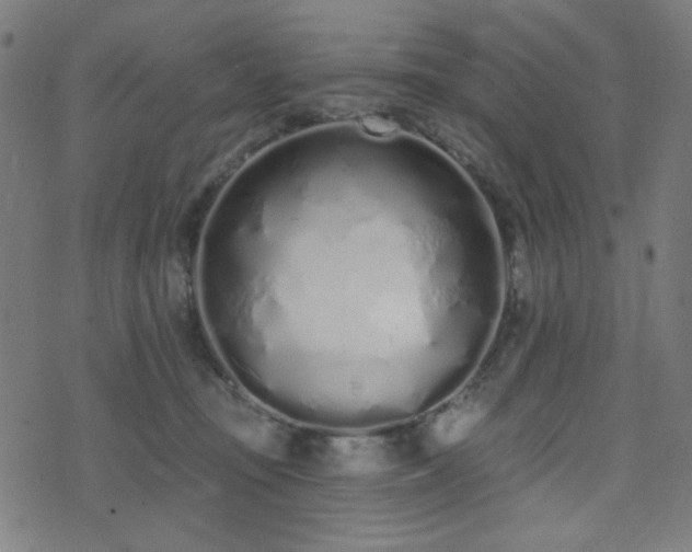 X0000072990371200607211205