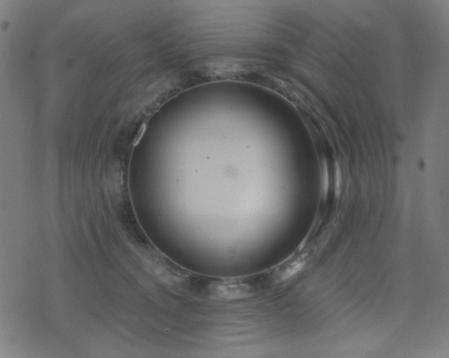 X0000072990372200607211205