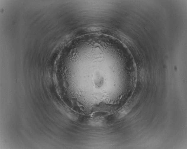 X0000072990373200607211205