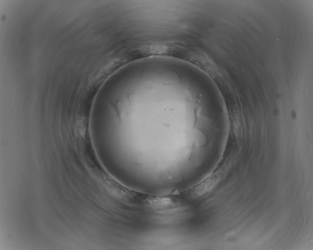 X0000072990374200607211205