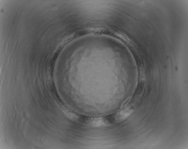 X0000072990377200607211205