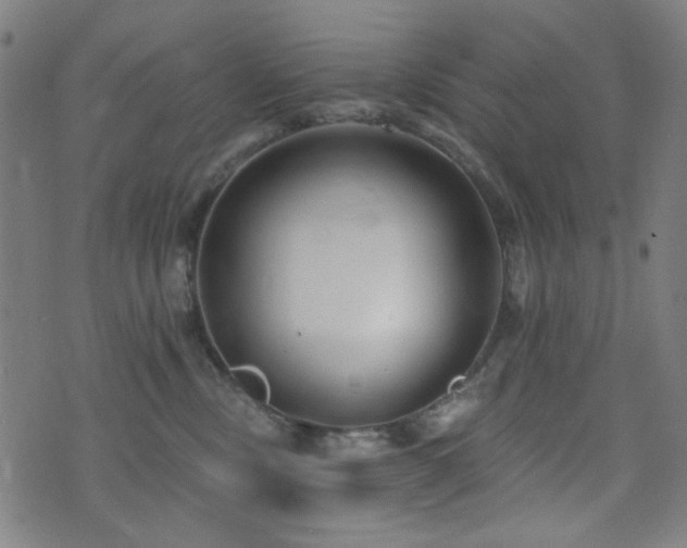 X0000072990378200607211205