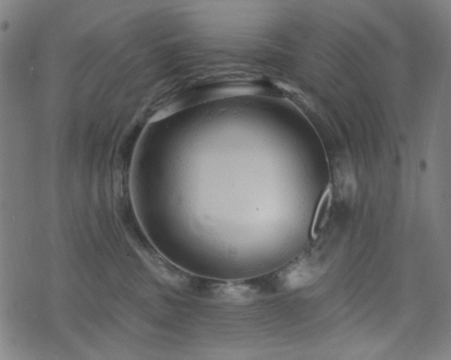 X0000072990379200607211205