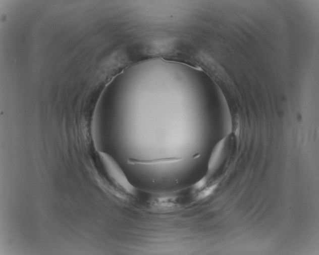 X0000072990380200607211205