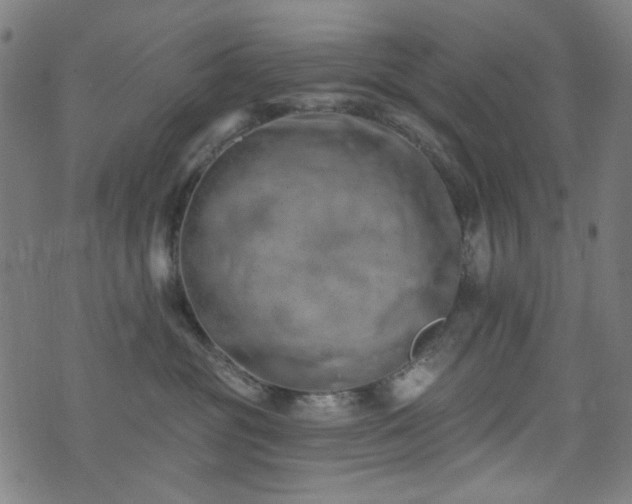 X0000072990381200607211205