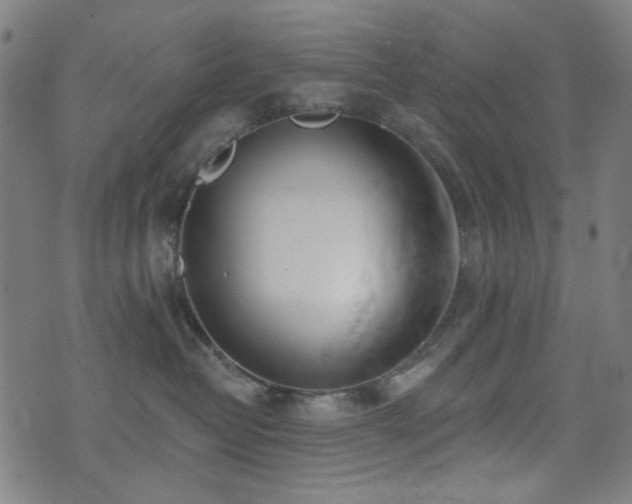 X0000072990382200607211205