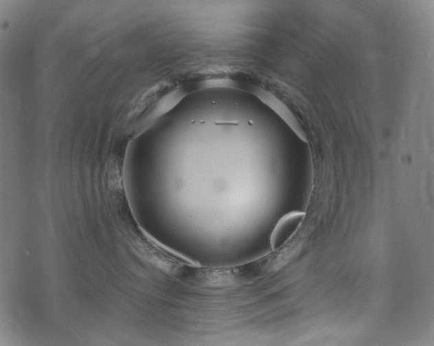 X0000072990384200607211205