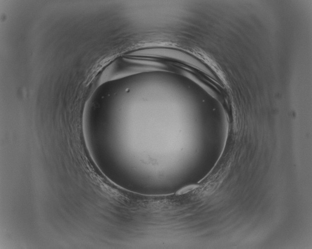 X0000072990385200607211204