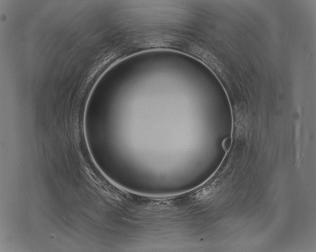 X0000072990386200607211204