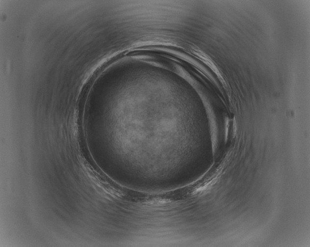 X0000072990387200607211204