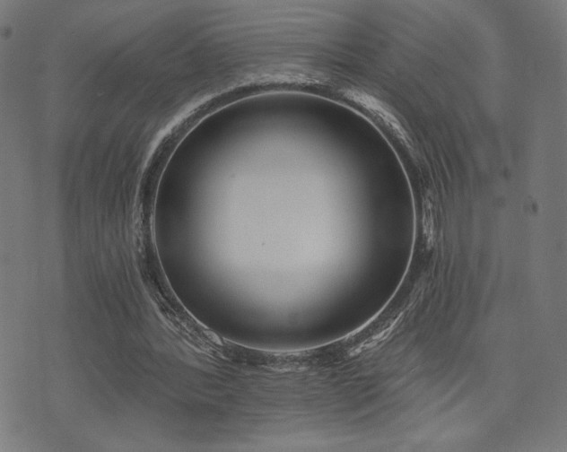 X0000072990388200607211204