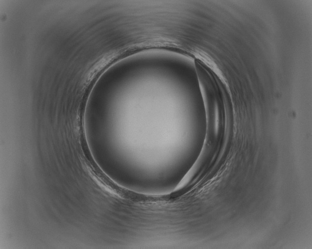 X0000072990389200607211204