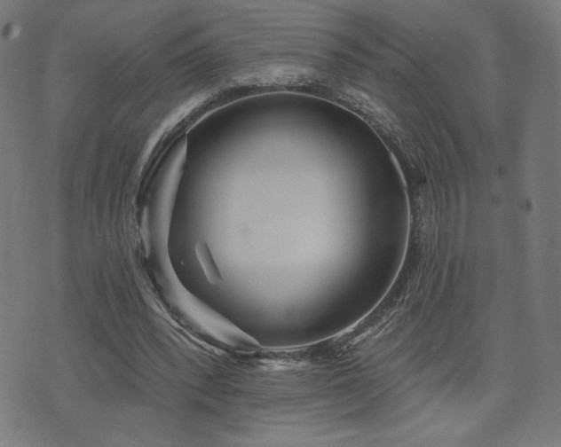 X0000072990392200607211204