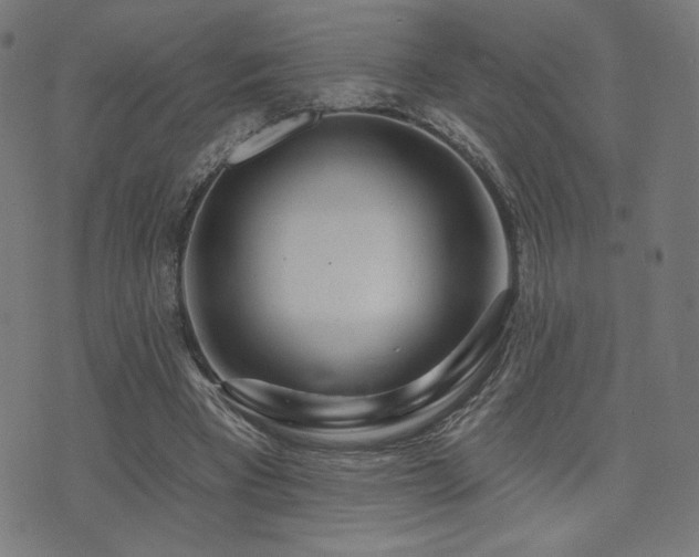 X0000072990393200607211204