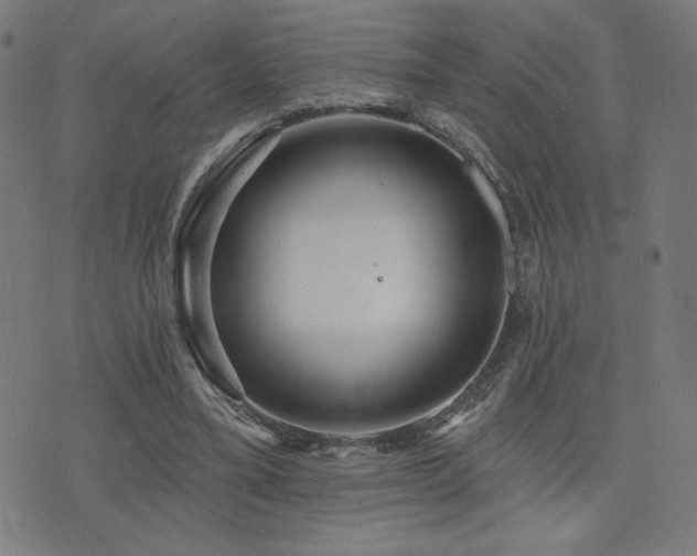 X0000072990395200607211204