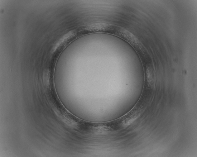 X0000072990396200607211204