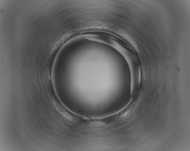 X0000072990397200607211204