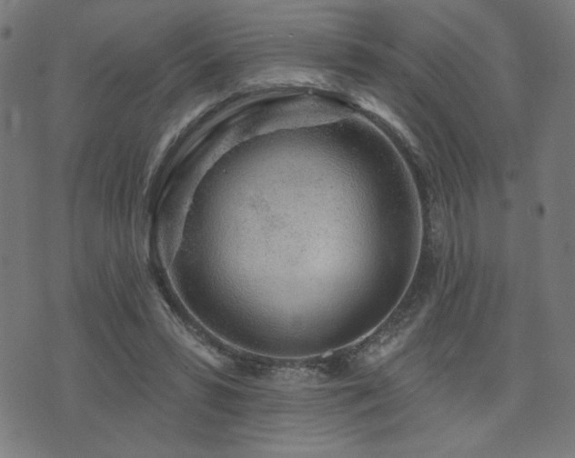 X0000072990399200607211204