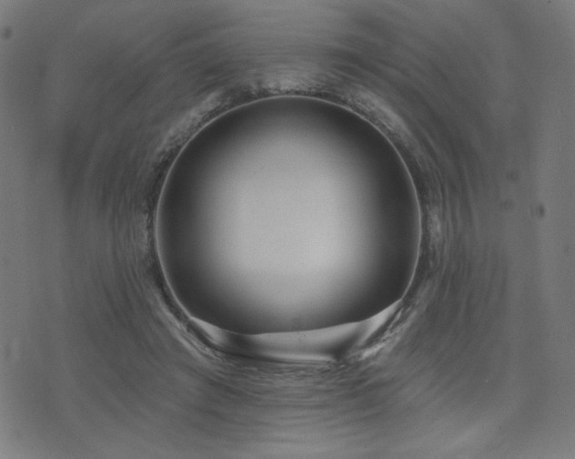 X0000072990401200607211204