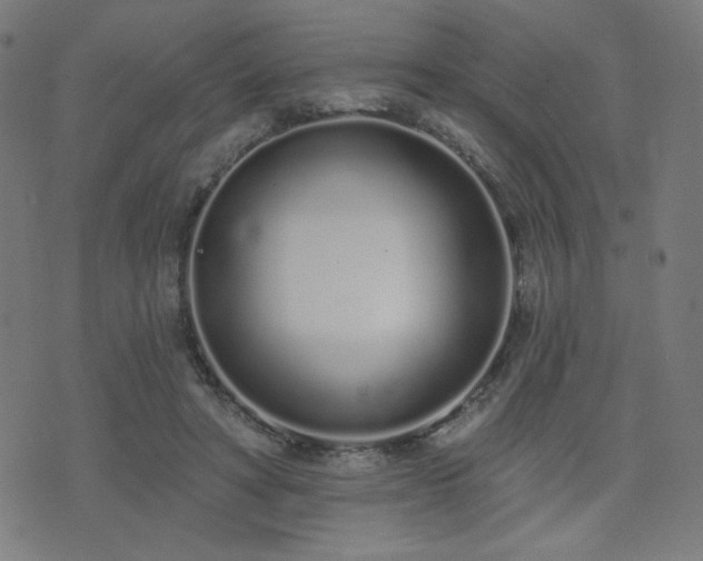 X0000072990402200607211204