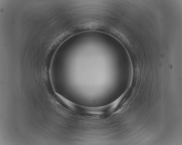 X0000072990403200607211204